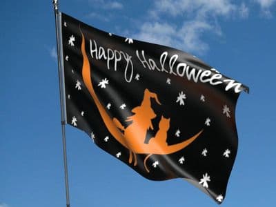 Halloween Witch and Cat Flag 5ft x 3ft