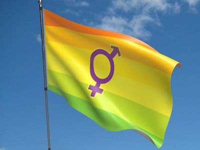Hermaphrodite Flag 5ft x 3ft