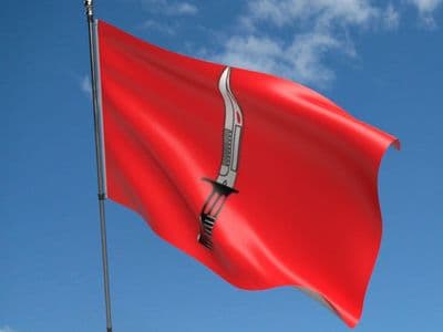 Infantry Corps 5ft x 3ft Flag