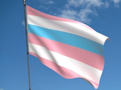Intersex Pink & Blue Flag 5ft x 3ft