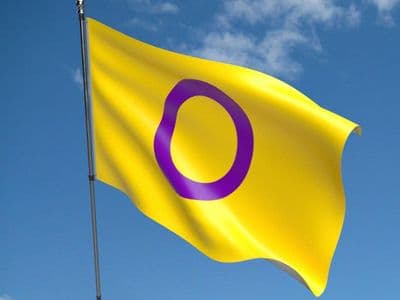Intersex Pride Flag 5ft x 3ft