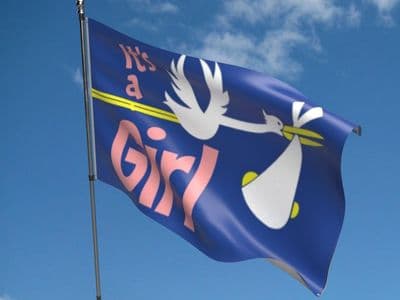 It's A Girl 5ft x 3ft Flag