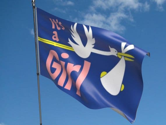 Its A Girl Flag | Buy Its A Girl Flag | North West Flags