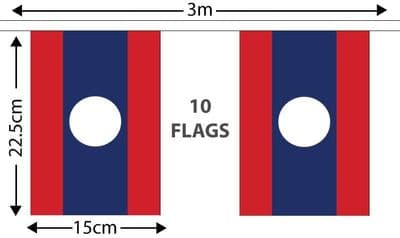 Laos Bunting 3m