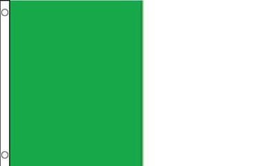 Limerick 5ft x 3ft Flag - Green and White