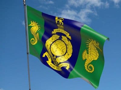 Logistic Regiment Royal Marines 5ft x 3ft Flag