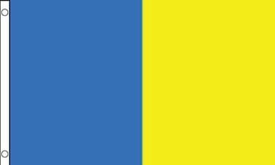 Longford 5ft x 3ft Flag - Yellow and Blue