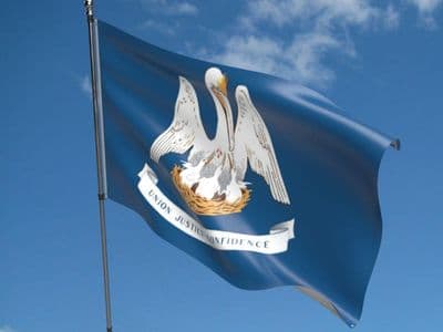 Louisiana State 5ft x 3ft Flag