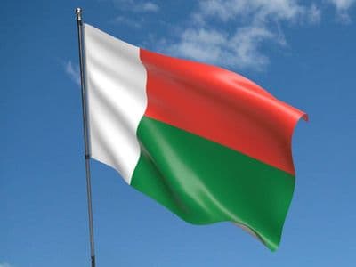 Madagascar 5ft x 3ft Flag