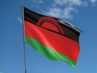 Malawi Flag 5ft x 3ft