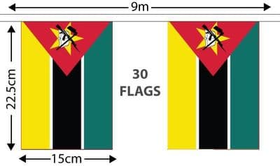 Mozambique Bunting 9m