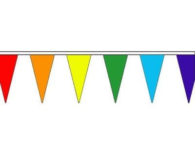 Multi Coloured Bunting Triangle 20m - 54 Flags