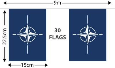 NATO Bunting (9m)