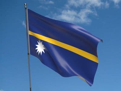 Nauru 5ft x 3ft Flag