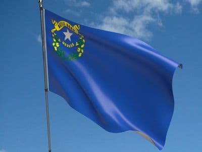 Nevada State 5ft x 3ft Flag