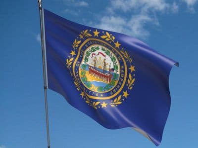 New Hampshire Flag 5ft x 3ft