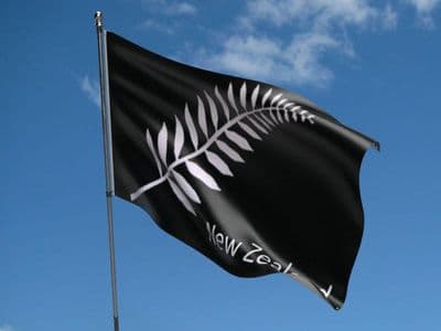 New Zealand Fern 5ft x 3ft Flag