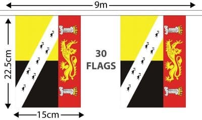 Norfolk Bunting (9m)
