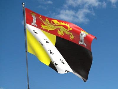 Norfolk Flag 5ft x 3ft