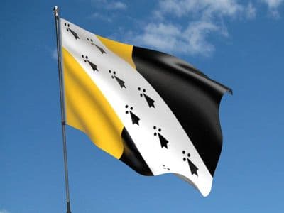 Norfolk no Crest Flag 5ft x 3ft