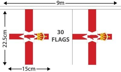 Northern Ireland Bunting (9m)