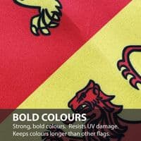 Owain Glyndr Boat Flag - 15ft x 1ft with 2 Eyelets | Buy Owain Glyndr Boat Flag - 15ft x 1ft with 2 Eyelets | North West Flags