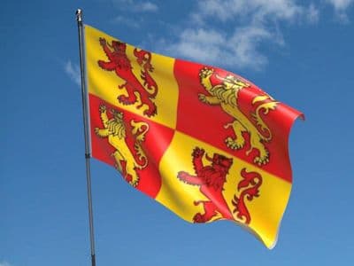 Owain Glyndwr 5ft x 3ft Flag