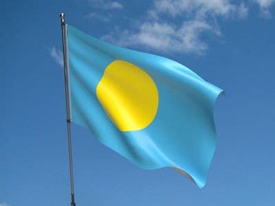 Palau 5ft x 3ft Flag
