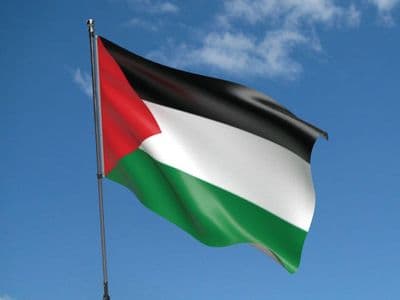 Palestine 5ft x 3ft Flag