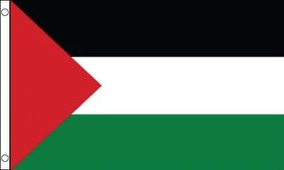Palestine Flag VALUE 3ft x 2ft