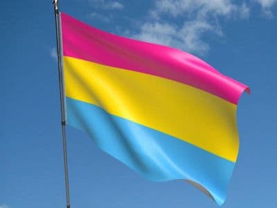 Pansexual Flag 5ft x 3ft