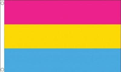 Pansexual Flag VALUE 3ft x 2ft