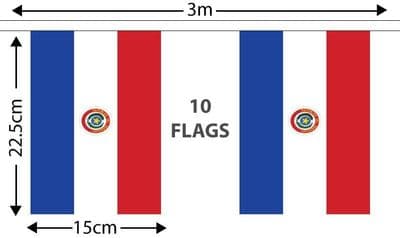 Paraguay Bunting 3m