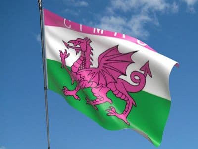 Pink Welsh Dragon 5ft x 3ft Flag