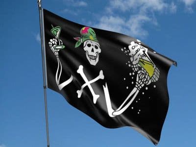 Pirate Beer Flag 5ft x 3ft