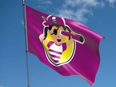 Pirate Child Girl Flag 5ft x 3ft