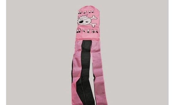 Pirate Princess 5ft Windsock | Buy Pirate Princess 5ft Windsock