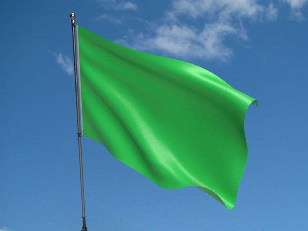 Plain Green Flag Buy Plain Green Flag North West Flags