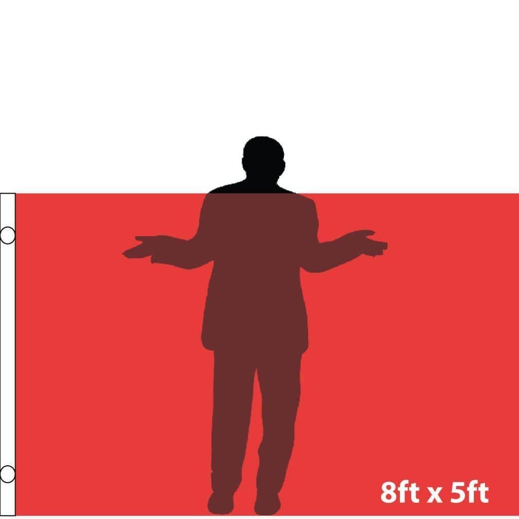 Peace, Truce, Surrender And Retreat Concept. Hand Holding White Flag In - Foto 6