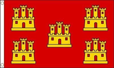 Poitou-Charentes 5ft x 3ft Flag