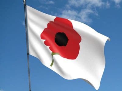 Poppy Flag 5ft x 3ft