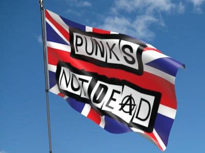 Punks Not Dead Flag 5ft x 3ft