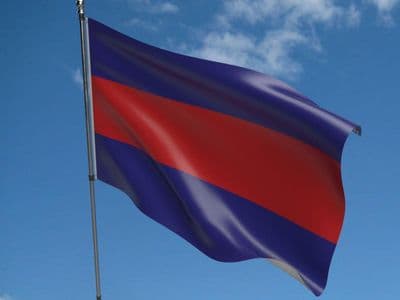 Royal Household Division 5ft x 3ft Flag