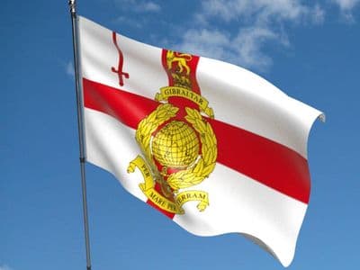 Royal Marines Reserve London 5ft x 3ft Flag