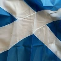 Scotland Saltire Sewn Nylon Flag with Eyelets - 5ft x 3ft | NWFlags