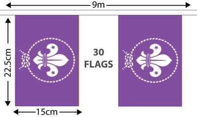 Scouts Purple Bunting 9m