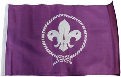 Scouts Purple Flag - 17