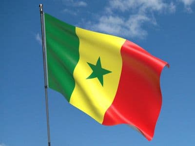 Senegal 5ft x 3ft Flag