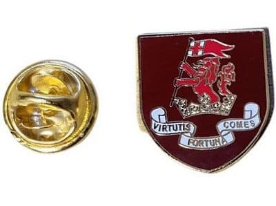 Shield Duke of Wellington Reg Pin Badge