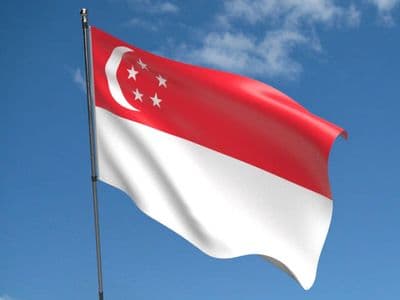 Singapore Flag 5ft x 3ft